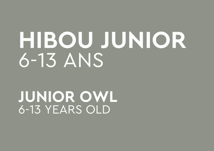 Junior Owl