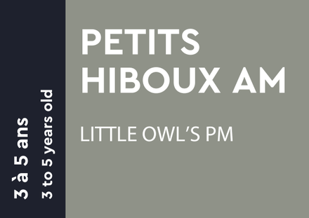 Little Owls AM - 3 to 5 years old