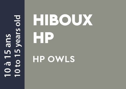 Hiboux HP Teen - 10 to 15 years old