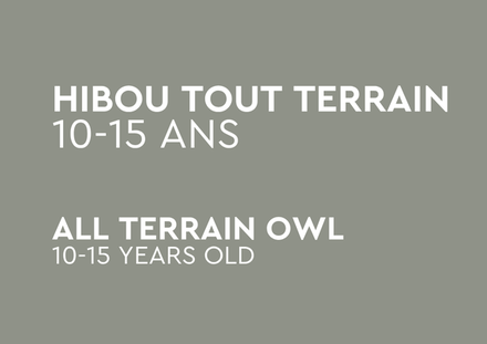 Hibou Tout Terrain
